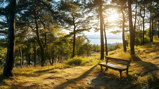 Leidenschaftlicher muschilecker  - erotik.gratis-inserat.com
